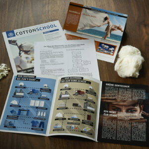 Infobox_web