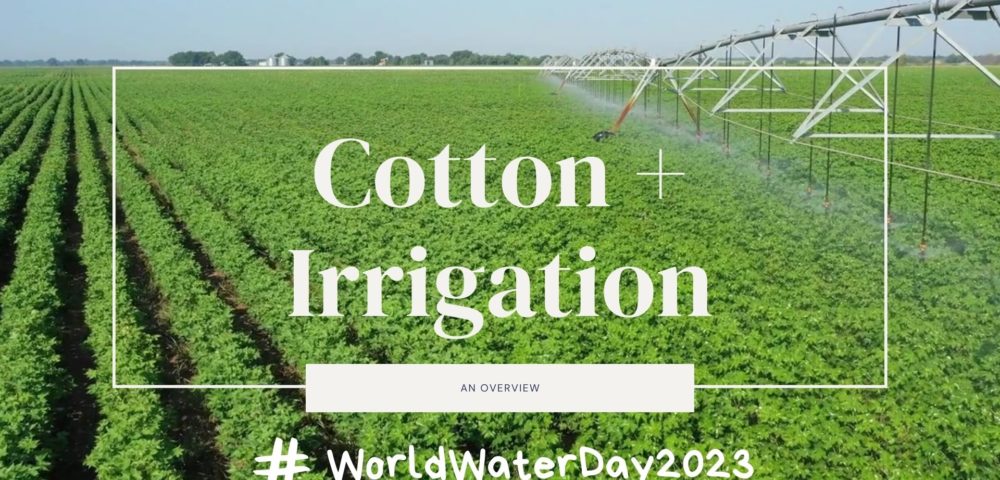 World Water Day 2023: Cotton and Irrigation